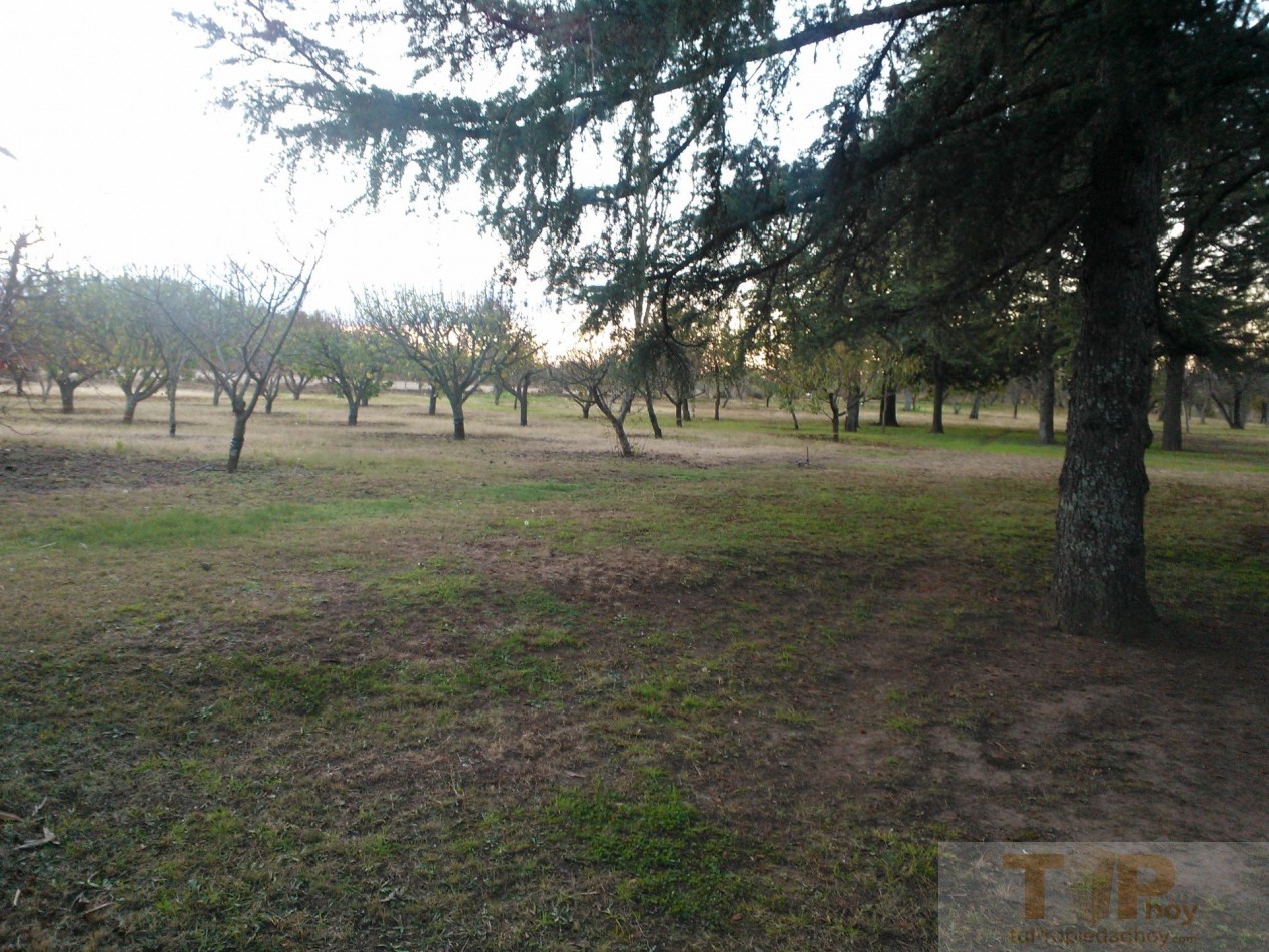 8 hectareas con casa de campo, departamentos, piscina, microclima propio y una importante variedad de frutales en el Valle de Calamuchita