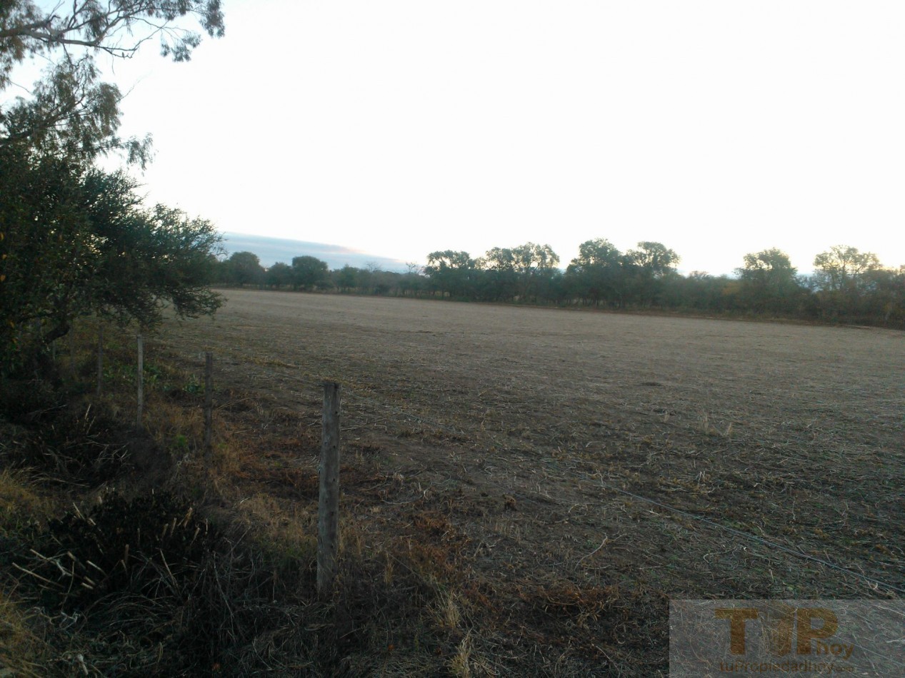 8 hectareas autosustentables con casas de campo, servicios y variedad de frutales en el Valle de Calamuchita