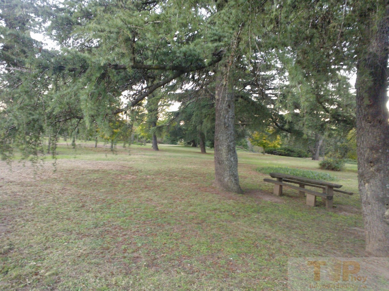 8 hectareas con casa de campo, departamentos, piscina, microclima propio y una importante variedad de frutales en el Valle de Calamuchita