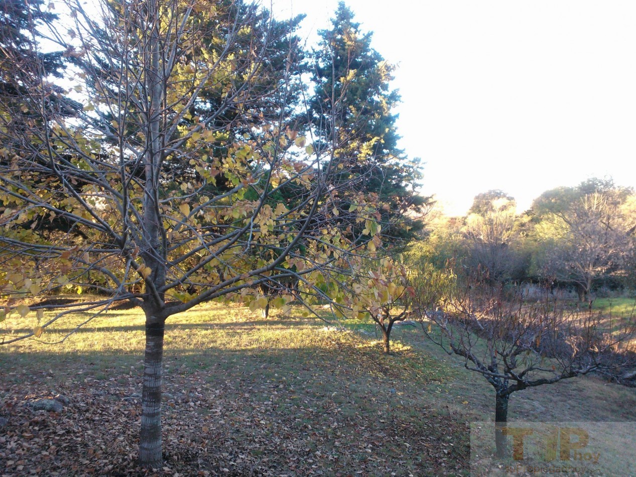 8 hectareas con casa de campo, departamentos, piscina, microclima propio y una importante variedad de frutales en el Valle de Calamuchita