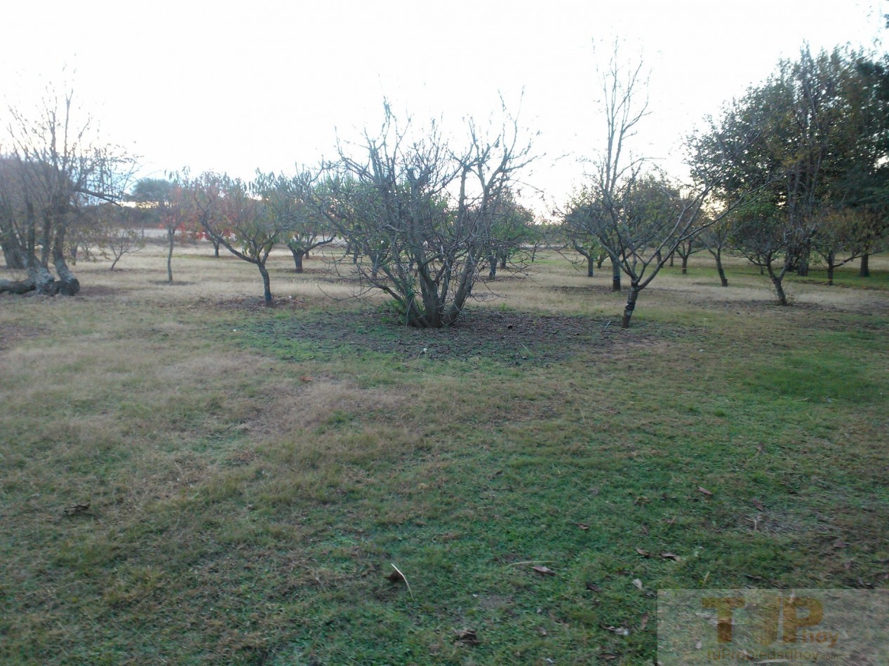 8 hectareas con casa de campo, departamentos, piscina, microclima propio y una importante variedad de frutales en el Valle de Calamuchita